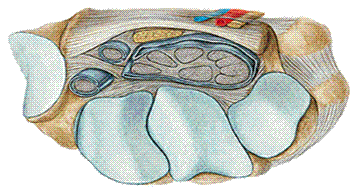 p33a